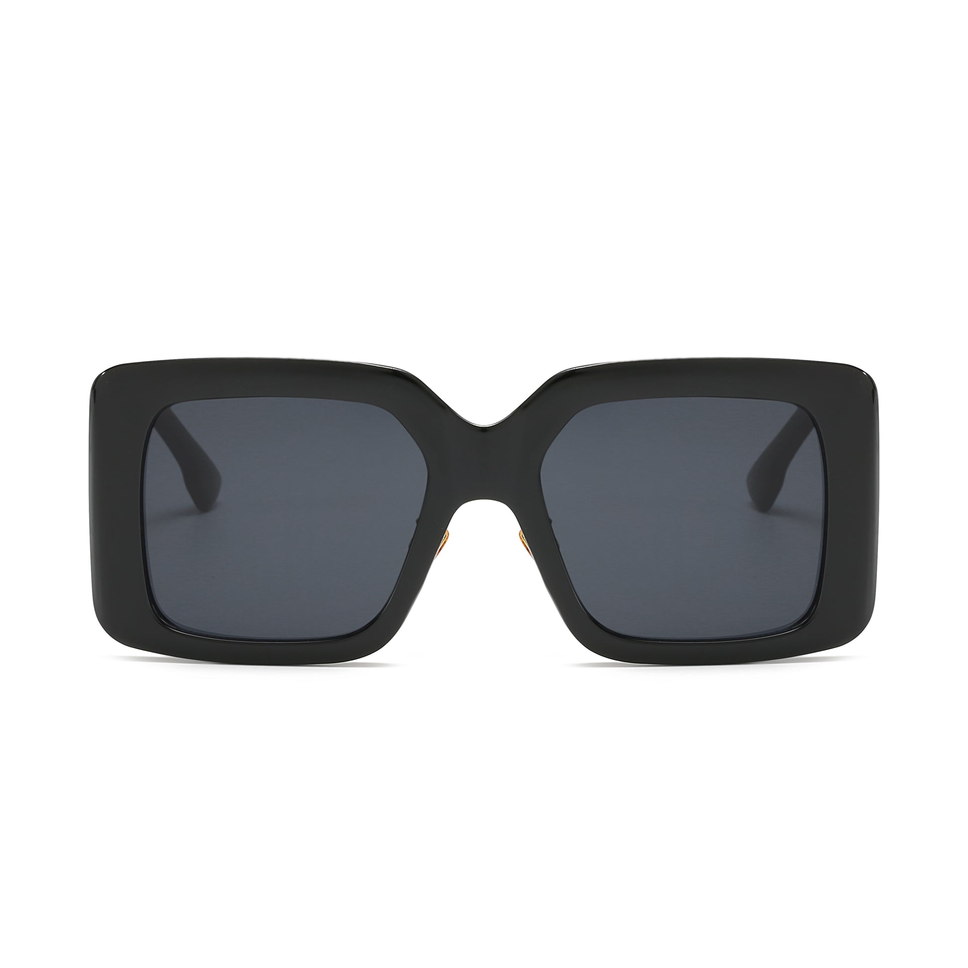 Everest Eyewear Teide Negro