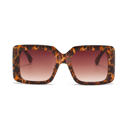 Everest Eyewear Teide Tortoise