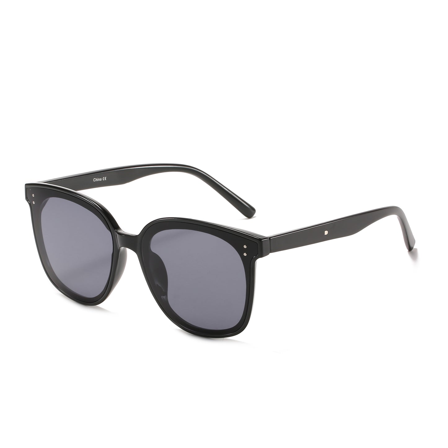 Everest Eyewear Mckinley Negro